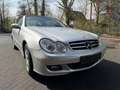 Mercedes-Benz CLK 240 CLK Cabrio CLK 240 (209.461) Klima Xenon Navi Plateado - thumbnail 4