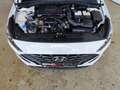 Hyundai i30 Kombi 1.0 T-GDI Klima|Car-Play Weiß - thumbnail 24