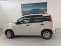 Fiat Panda 1.2 Lounge 69cv PREZZO REALE Beige - thumbnail 7