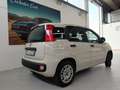 Fiat Panda 1.2 Lounge 69cv PREZZO REALE Beige - thumbnail 4