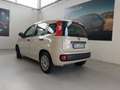 Fiat Panda 1.2 Lounge 69cv PREZZO REALE Beige - thumbnail 6
