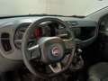 Fiat Panda 1.2 Lounge 69cv PREZZO REALE Beige - thumbnail 9
