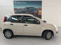 Fiat Panda 1.2 Lounge 69cv PREZZO REALE Beige - thumbnail 3