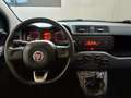 Fiat Panda 1.2 Lounge 69cv PREZZO REALE Beige - thumbnail 10