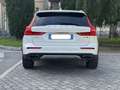 Volvo V60 Cross Country B4 (d) AWD Mild Hybrid Geartronic Bus. Pro Line Bianco - thumbnail 3