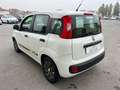 Fiat New Panda 1.2 EasyPower Young - PER NEOPATENTATO - Biały - thumbnail 11