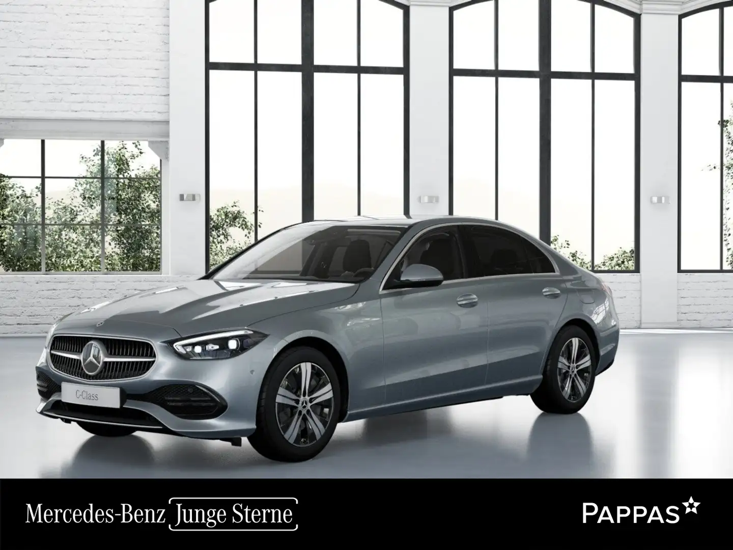 Mercedes-Benz C 300 de 4MATIC Totw LED PTS Cam Distr Navi AHK Silber - 1