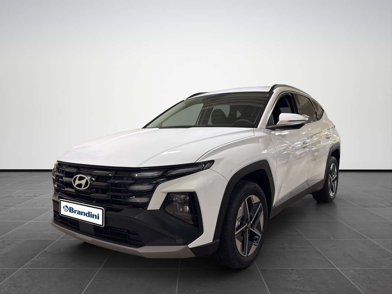 Hyundai TUCSON 1.6 HEV Business