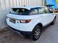 Land Rover Range Rover Evoque Pure Weiß - thumbnail 5