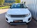 Land Rover Range Rover Evoque Pure Weiß - thumbnail 8