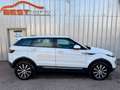 Land Rover Range Rover Evoque Pure Weiß - thumbnail 6