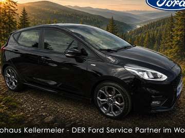 ST-Line, sehr sportlich