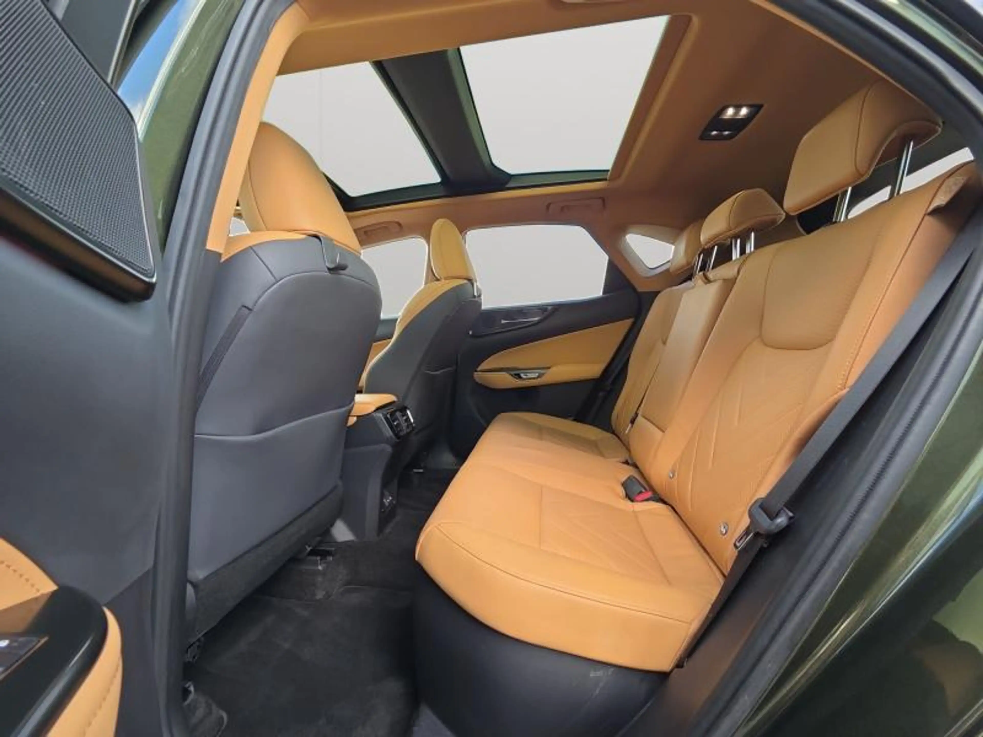 Lexus NX 350h 350h — photo 11