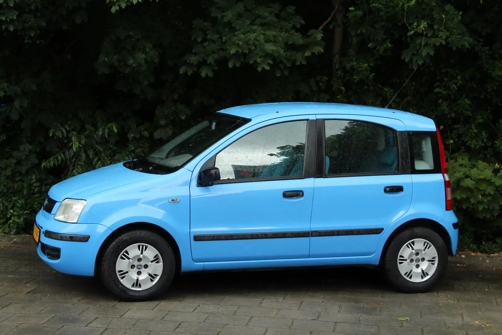 Fiat Panda 1.2 Dynamic APK nieuw!! Super leuk zuinig autootje Blauw - 1