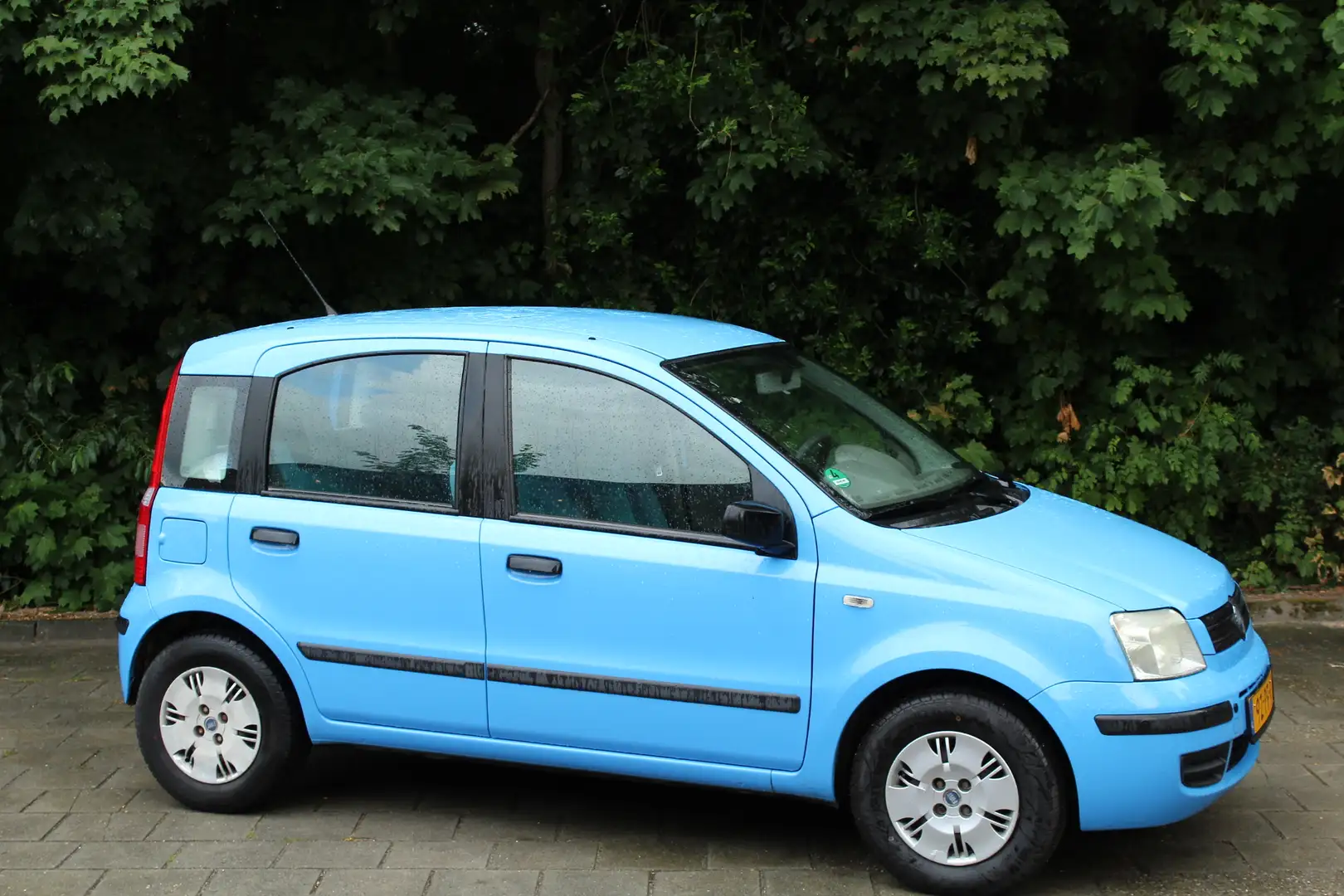 Fiat Panda 1.2 Dynamic APK nieuw!! Super leuk zuinig autootje Blauw - 2
