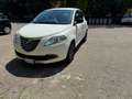 Lancia Ypsilon 1.2 69 CV 5p. E6 GOLD 30th Anniversary Alb - thumbnail 8