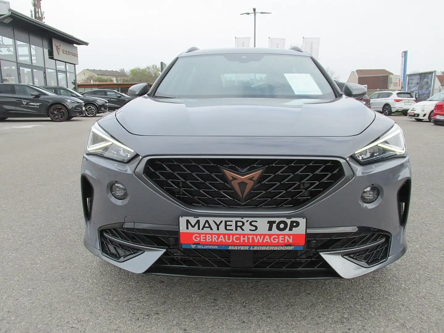 CUPRA Formentor 2,0 TSI 4Drive Cupra DSG Grau - 2