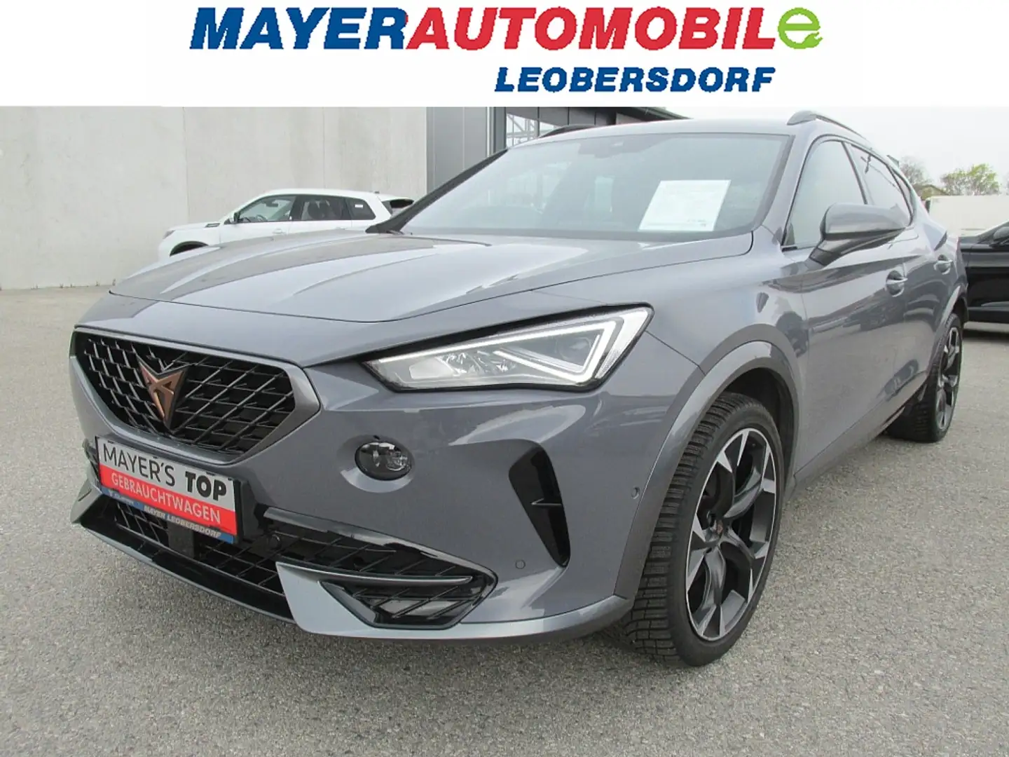 CUPRA Formentor 2,0 TSI 4Drive Cupra DSG Gris - 1