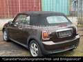 MINI Cooper Cabrio Cooper *1.HAND*TÜV 11-2026*SH* Brun - thumbnail 3