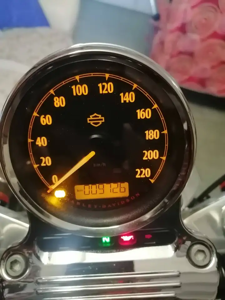 Harley-Davidson Sportster 1200