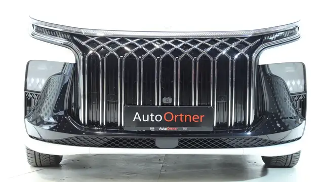 DFM Forthing 9 HEV Vorsteuerabzugsfähig Ansicht 12