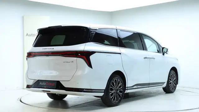 DFM Forthing 9 HEV Vorsteuerabzugsfähig Ansicht 8