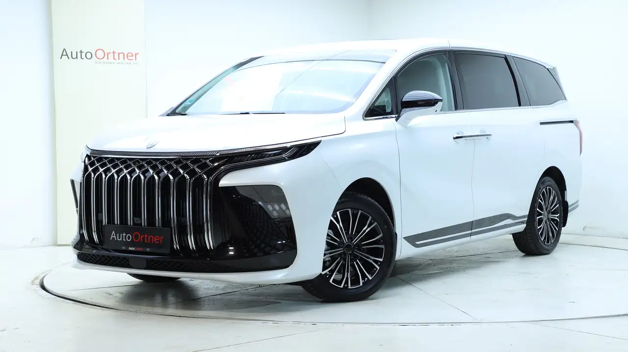 DFM Forthing 9 HEV Vorsteuerabzugsfähig