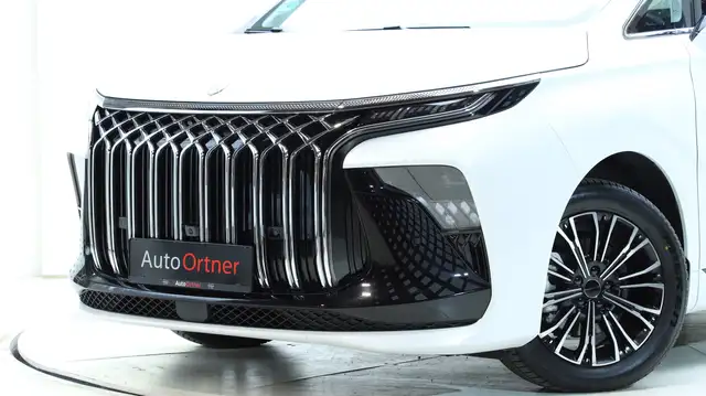 DFM Forthing 9 HEV Vorsteuerabzugsfähig Ansicht 2