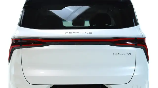 DFM Forthing 9 HEV Vorsteuerabzugsfähig Ansicht 6