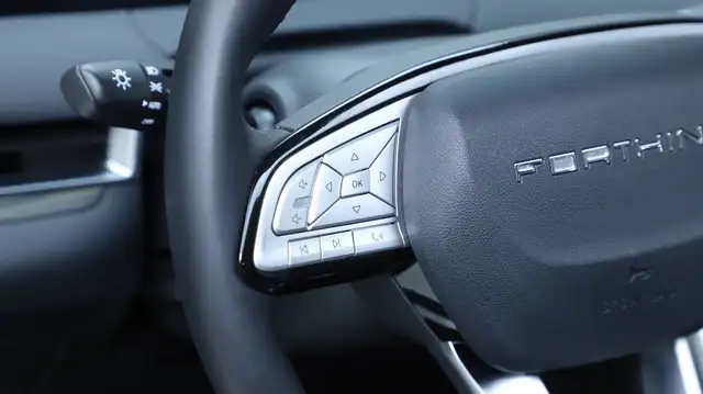 DFM Forthing 9 HEV Vorsteuerabzugsfähig Ansicht 35