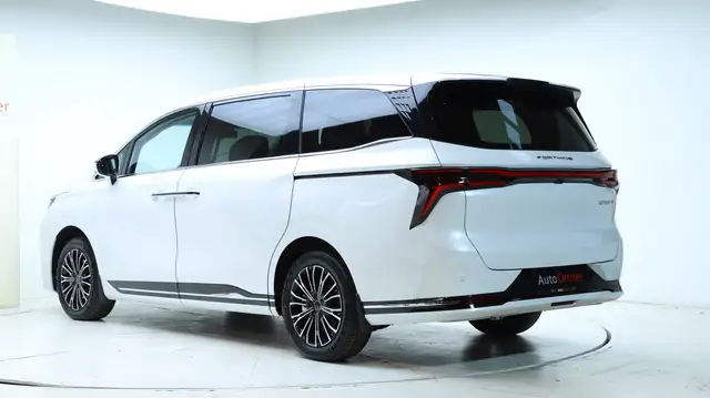 DFM Forthing 9 HEV Vorsteuerabzugsfähig Ansicht 4