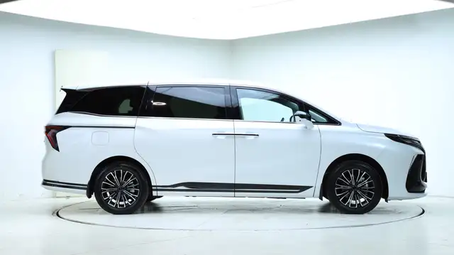 DFM Forthing 9 HEV Vorsteuerabzugsfähig Ansicht 9