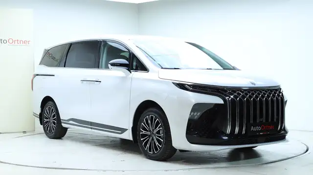 DFM Forthing 9 HEV Vorsteuerabzugsfähig Ansicht 10