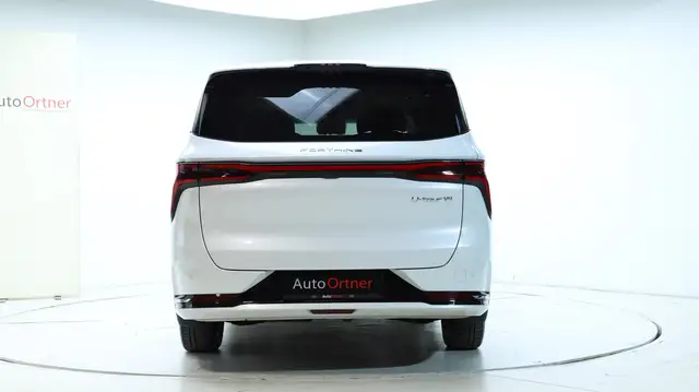 DFM Forthing 9 HEV Vorsteuerabzugsfähig Ansicht 5