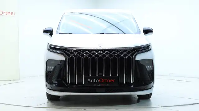 DFM Forthing 9 HEV Vorsteuerabzugsfähig Ansicht 11