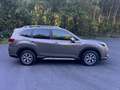 Subaru Forester 2.0ie Comfort Lineartronic Braun - thumbnail 4