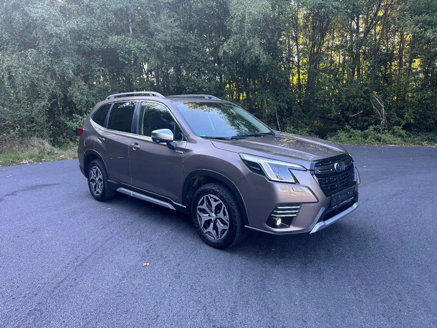 Subaru Forester 2.0ie Comfort Lineartronic Braun - 2
