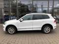 Volkswagen Touareg 514 Touareg 3.0 V6 TDI Automatik Білий - thumbnail 9