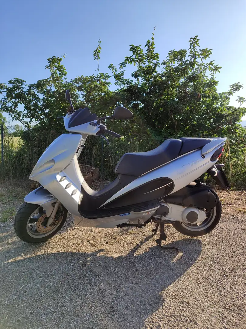 Malaguti Phantom Max 250 F12 Срібний - 1