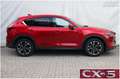 Mazda CX-5 2.2 SKYACTIV-D SPORTS-LINE AWD Rouge - thumbnail 9