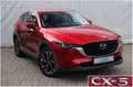 Mazda CX-5 2.2 SKYACTIV-D SPORTS-LINE AWD Rouge - thumbnail 5