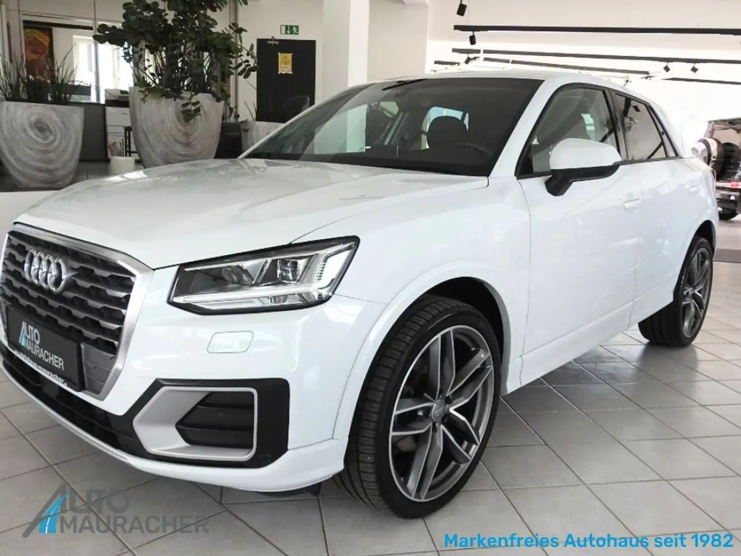 Audi Q2 1.6 TDI Sport*LED*NAVI*PDC Weiß - 1