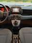 Fiat Panda 1.0 firefly hybrid Cross s Blanc - thumbnail 13