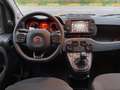 Fiat Panda 1.0 firefly hybrid Cross s Blanco - thumbnail 12