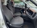 Fiat Panda 1.0 firefly hybrid Cross s Blanc - thumbnail 9