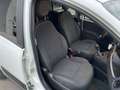 Fiat Panda 1.0 firefly hybrid Cross s Blanc - thumbnail 10