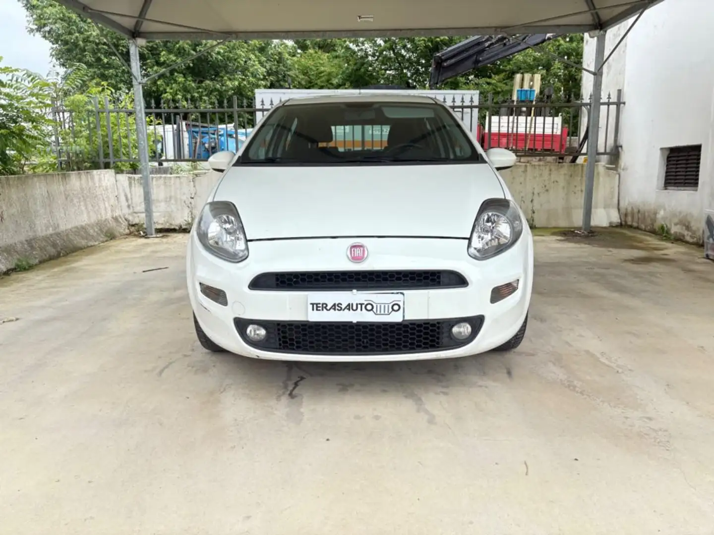Fiat Punto 1.4 8V 5 porte Easypower Lounge Bianco - 2