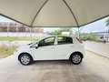 Fiat Punto 1.4 8V 5 porte Easypower Lounge Bianco - thumbnail 8