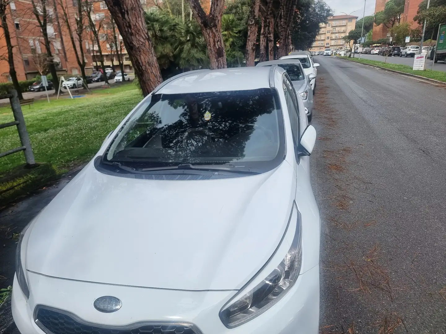 Kia Ceed / cee'd SW 1.6 crdi Cool 110cv auto - 2