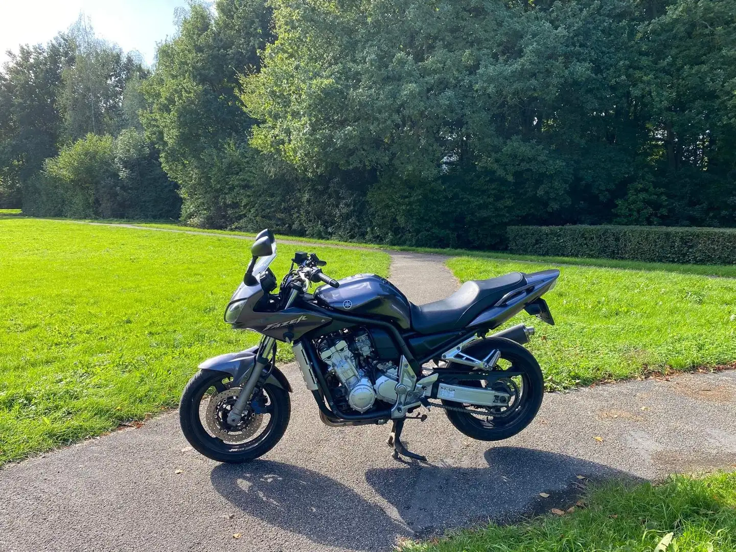 Yamaha FZS 1000 Fazer 1000 EXUP Grijs - 2
